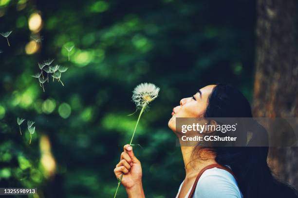 woman blowing the dandelion - dandelion blowing stock pictures, royalty-free photos & images