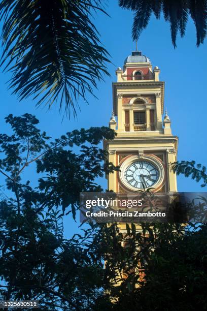 estação da luz - relógio (luz station clock tower), são paulo, sp, brazil. - relógio stock-fotos und bilder