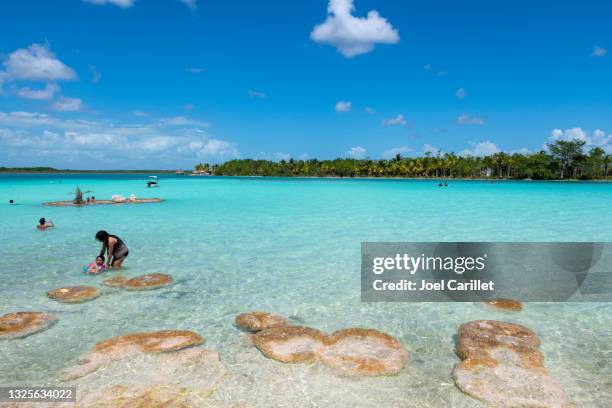 schwimmen in sac-ha in mexikos bacalar lagune - quintana roo stock-fotos und bilder