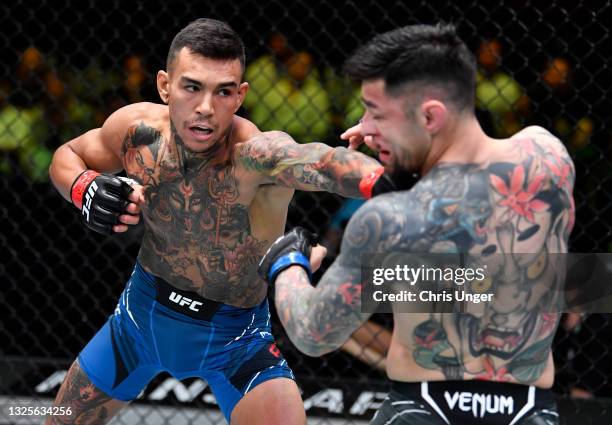 Andre Fili punches Daniel Pineda in a featherweight fight during the UFC Fight Night event at UFC APEX on June 26, 2021 in Las Vegas, Nevada.