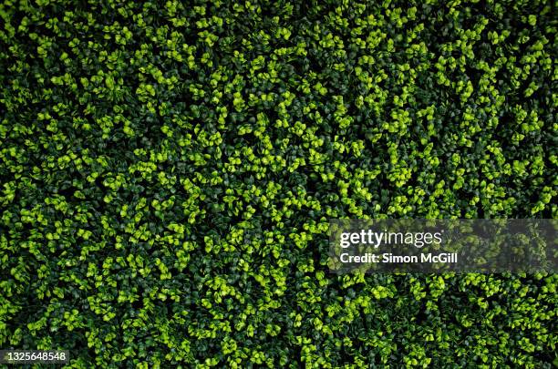 artificial plant leaf plastic panels over a building's exterior wall - fake plant stock pictures, royalty-free photos & images