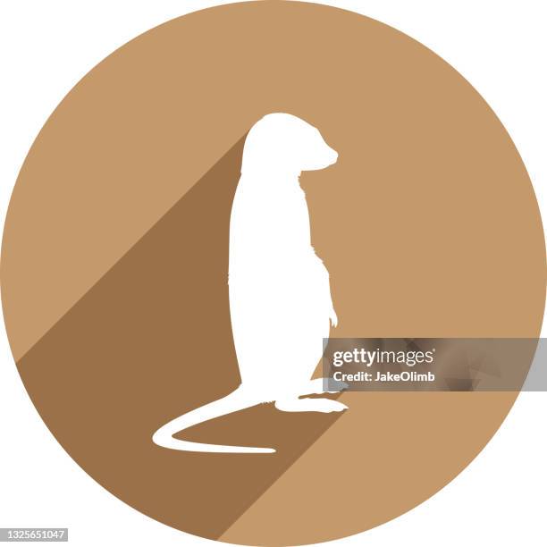 stockillustraties, clipart, cartoons en iconen met meerkat icon silhouette - meerkat