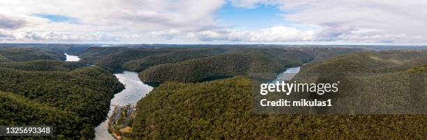 kuring-gai chase national park - sydney chase imagens e fotografias de stock