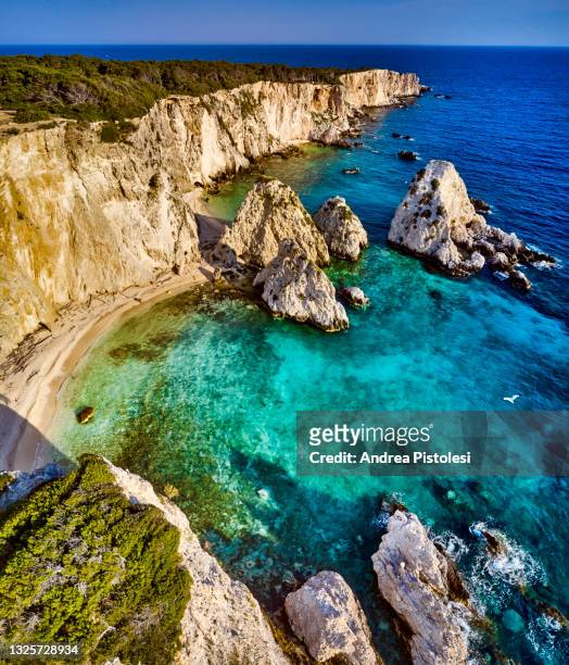 isole tremiti coastline, adriatic sea, italy - îles tremiti photos et images de collection