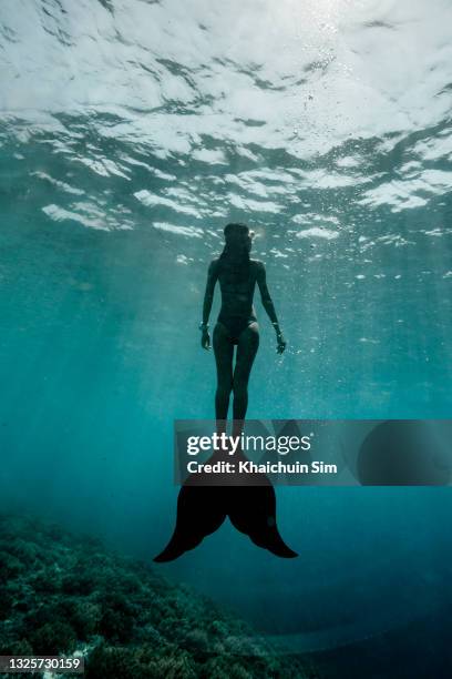 free diver in mermaid fin underwater - mermaid stock pictures, royalty-free photos & images