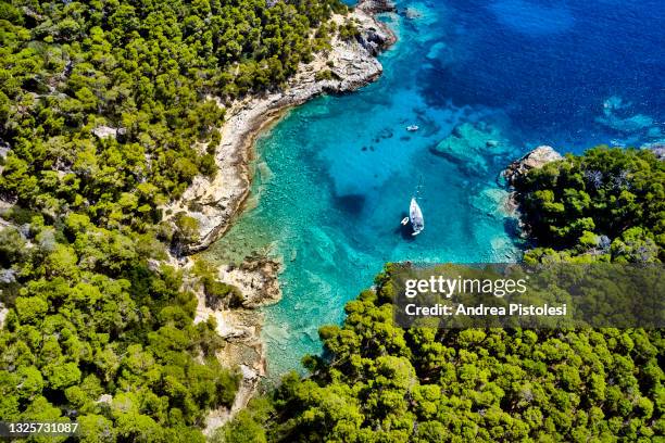 tremiti islands rocky coastline, puglia, italy - isole tremiti stockfoto's en -beelden