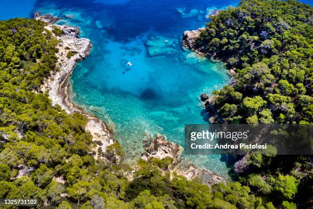 tremiti islands rocky coastline, puglia, italy - isole tremiti stockfoto's en -beelden