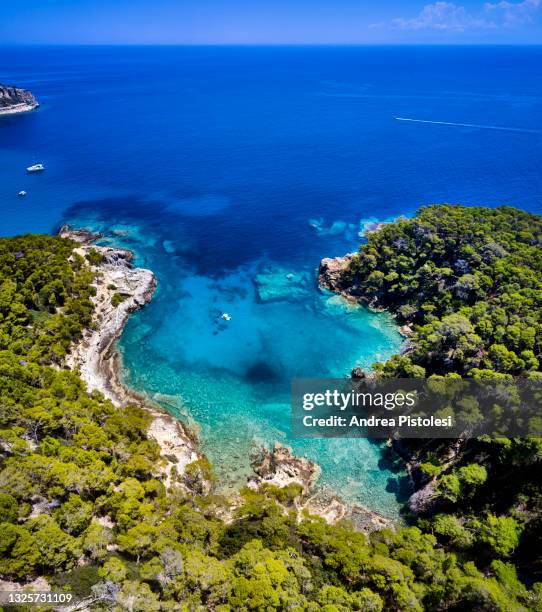 tremiti islands rocky coastline, puglia, italy - isole tremiti stock pictures, royalty-free photos & images