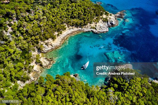 tremiti islands rocky coastline, puglia, italy - isole tremiti stock pictures, royalty-free photos & images