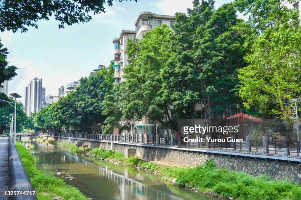 low angle view of residential district in tianhe district of guangzhou at noon. - mittag stock-fotos und bilder