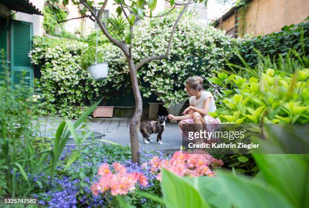 woman feeding a treat to her cat in back yard - crouching cat stock-fotos und bilder