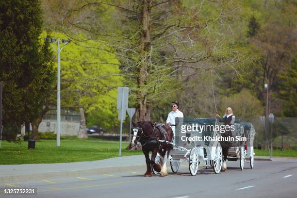 two white horse carriage in the street. - paardenkar stockfoto's en -beelden