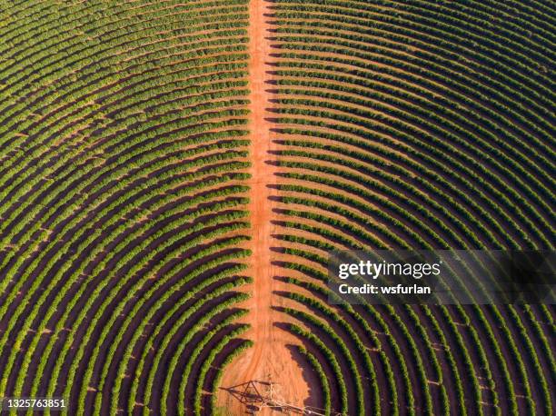 irrigation equipment at a coffee plantation - center pivot irrigation stock pictures, royalty-free photos & images