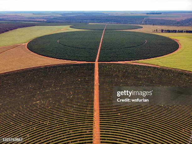 irrigation equipment at a coffee plantation - pivot bildbanksfoton och bilder