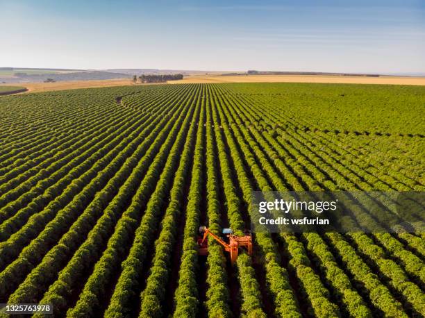 coffee combine harvester - plantage stockfoto's en -beelden