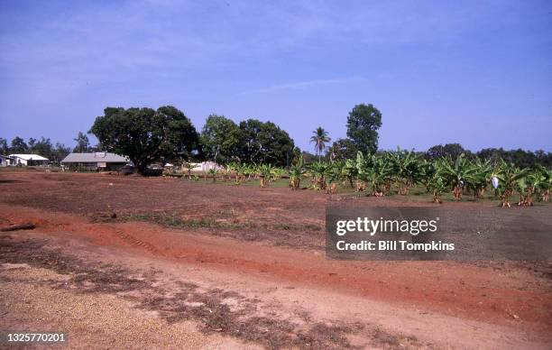 266 Australian Open 1993 Photos & High Res Pictures Getty Images