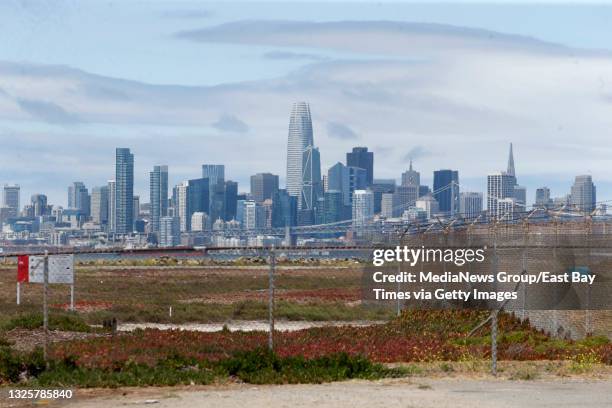 The San Francisco skyline is seen from land that was used as a taxiway at the former Naval Air Station Alameda in Alameda, Calif., on Tuesday, June...