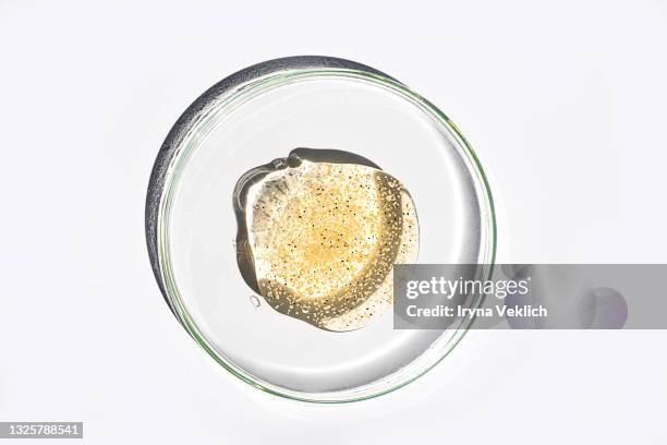 skincare scrub or mask, facial serum, gel. - petri dish stock pictures, royalty-free photos & images