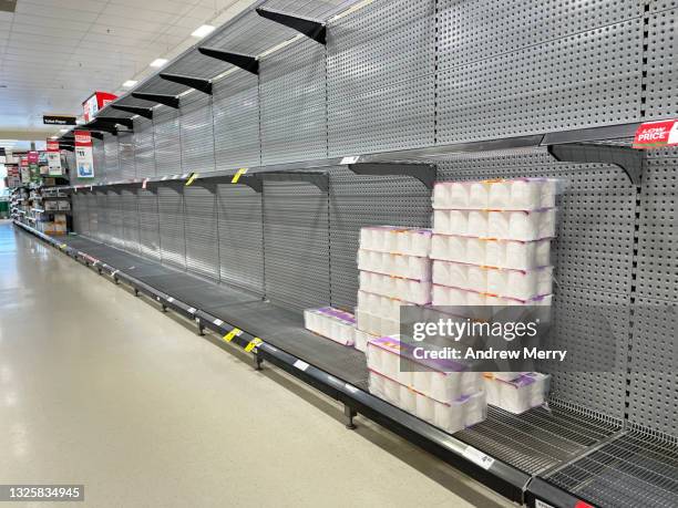 toilet paper on empty supermarket shelves, lockdown panic buying - buying toilet paper photos et images de collection