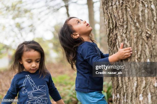 gros plan sur les enfants qui explorent et jouent. - maori photos et images de collection