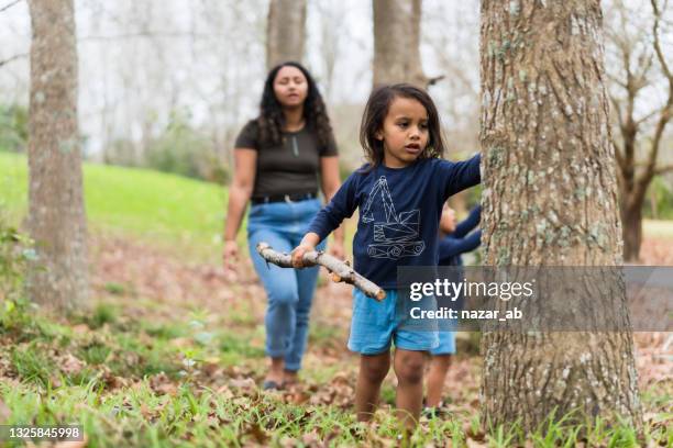 playing in wood. - new zealand forest stock pictures, royalty-free photos & images