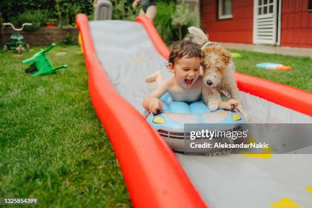 water slide fun in our backyard - water slide stockfoto's en -beelden