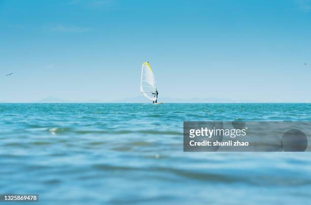 windsurfer at sea - wind surfing stock pictures, royalty-free photos & images