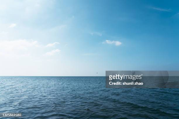 seascape from low perspective - seascape horizon bildbanksfoton och bilder