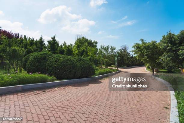 path in the park - brick pathway stock pictures, royalty-free photos & images