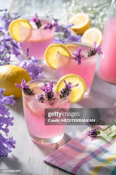 pink lemonade with lavender flowers infused, ice and lemon slices in pastel color background - citroen frisdrank stockfoto's en -beelden
