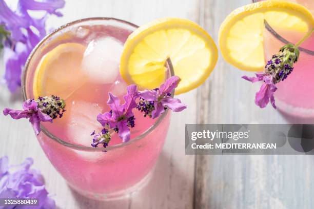 limonata rosa con fiori di lavanda infusi, fette di ghiaccio e limone in sfondo color pastello - alcohol detox foto e immagini stock