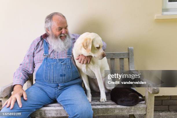 alter mann mit seinem geliebten hund und katze - senior man grey long hair stock-fotos und bilder