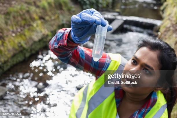 water sample analysis - quality control stock pictures, royalty-free photos & images