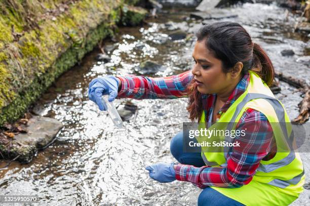 collecting water samples to test - biologist stockfoto's en -beelden