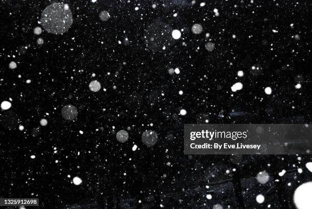 falling snowflakes - snow flakes falling stock pictures, royalty-free photos & images