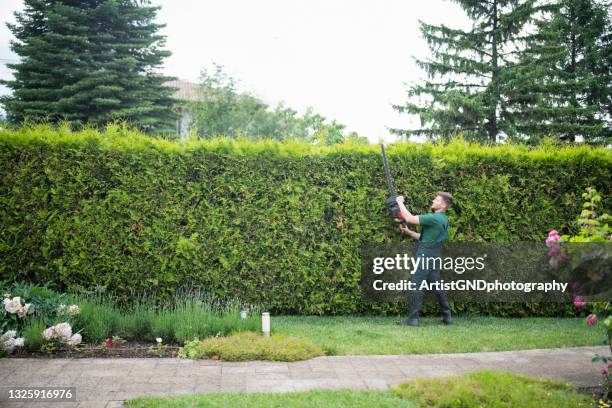 landscaper is trimming hedge with power saw. - slash stock pictures, royalty-free photos & images