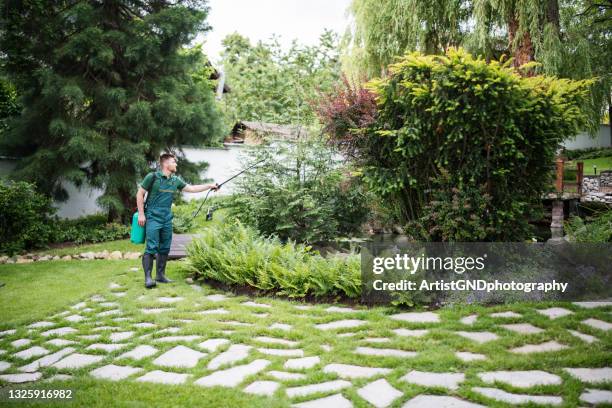 jardinier travaillant dans une cour paysagée, spaying plantes avec détergent protecteur. - animaux nuisibles photos et images de collection