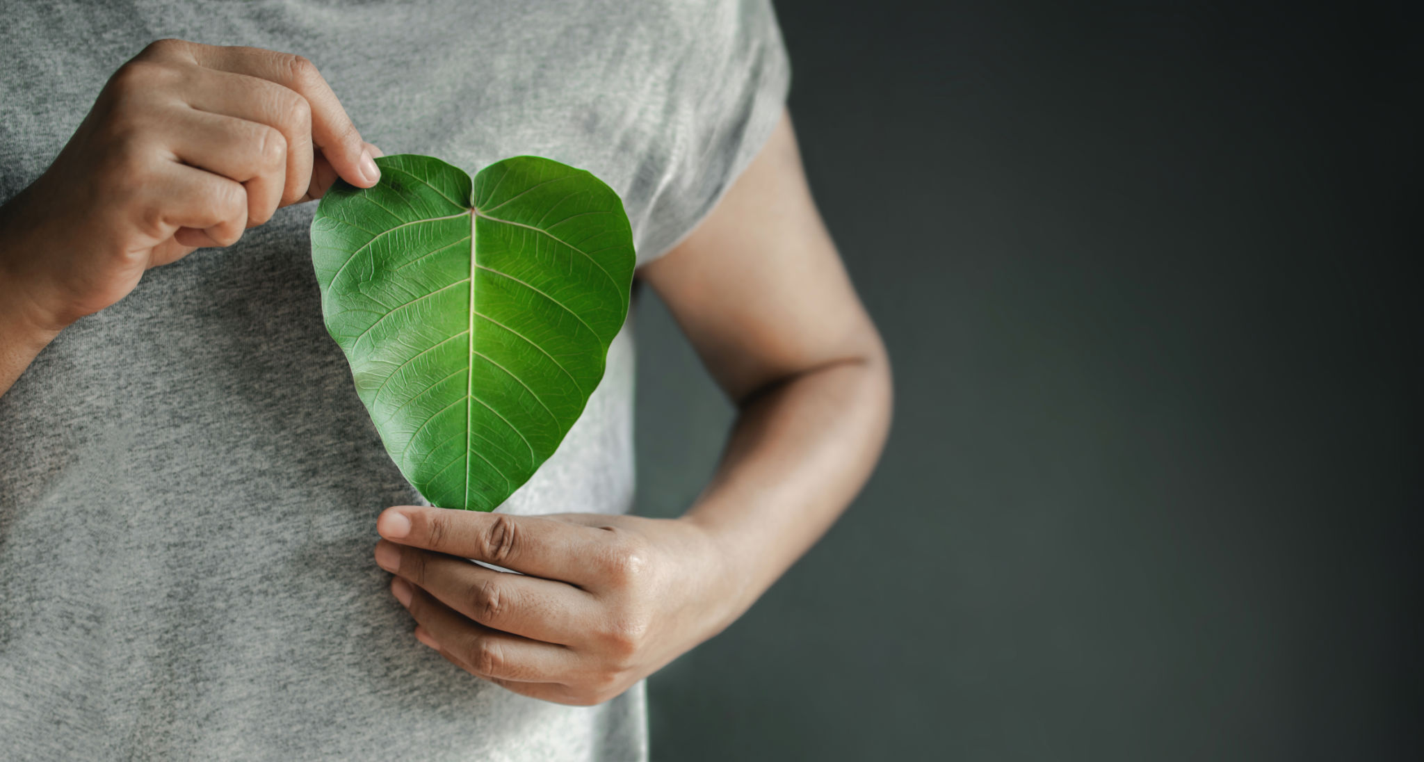 eco-friendly birth