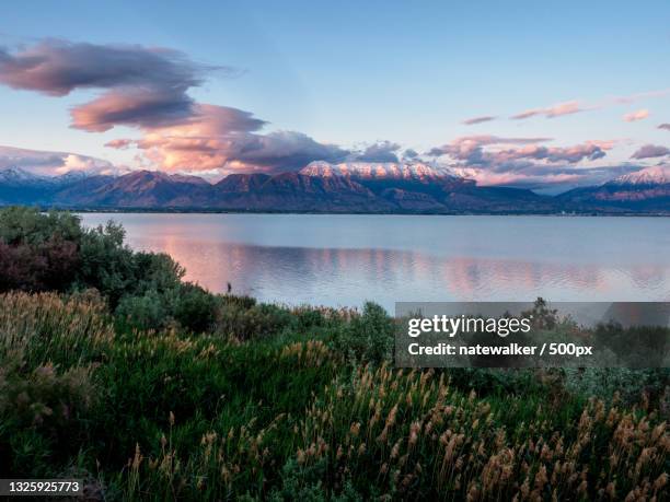 scenic view of lake against sky during sunset,utah,united states,usa - utah lake stock pictures, royalty-free photos & images