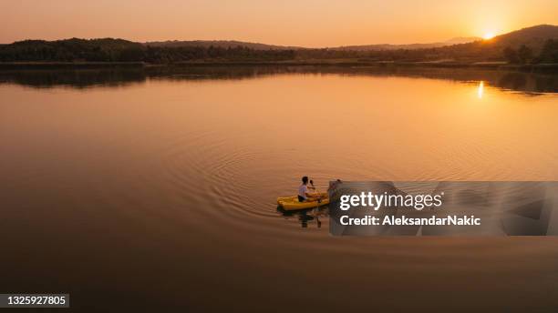 best friends kayaking on the lake - dog overhead view stock pictures, royalty-free photos & images