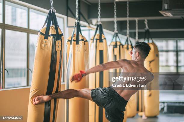 asian malay muay thai boxing boxer kick punching bags in gym health club - muaythai boxing stock pictures, royalty-free photos & images