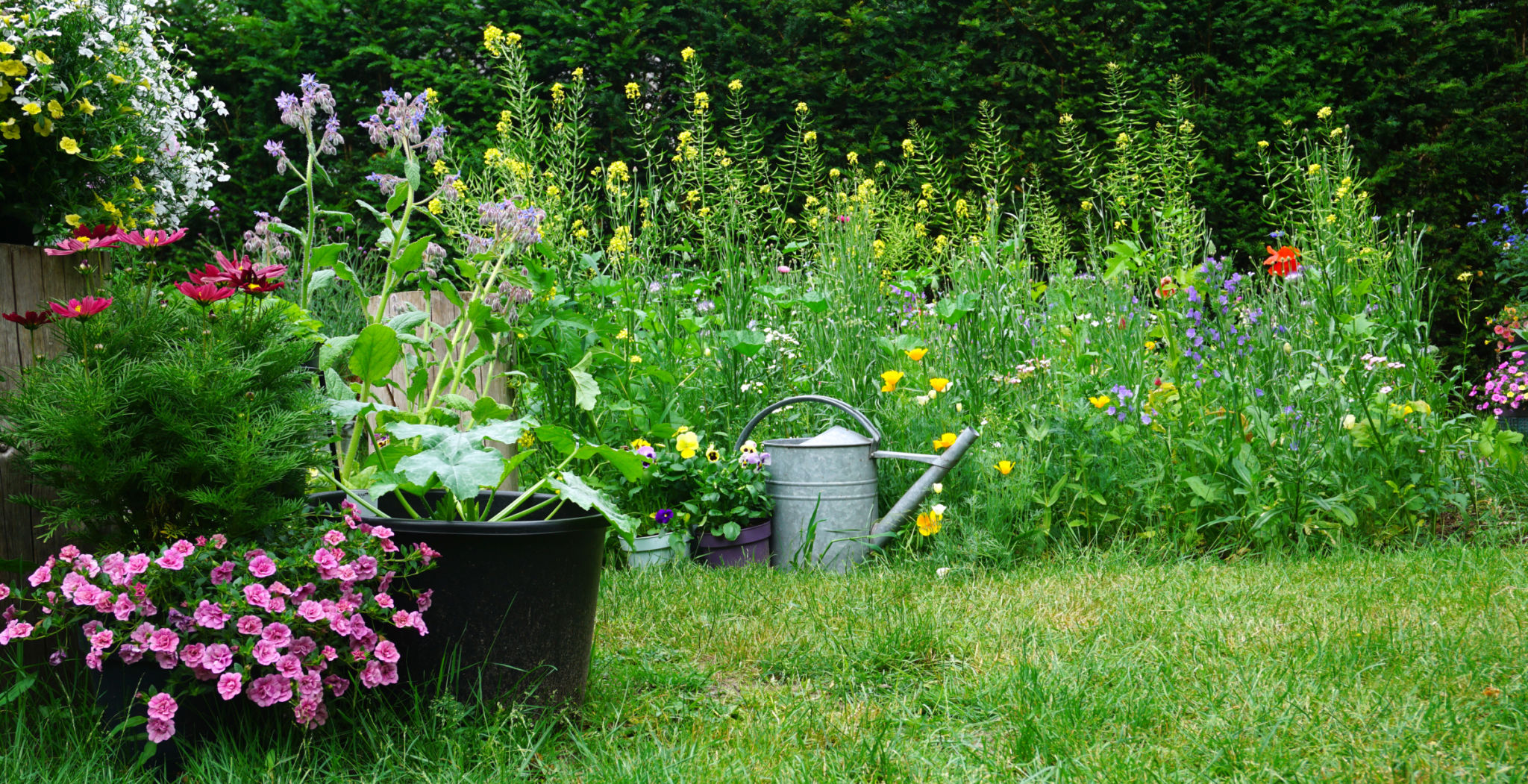 wildlife friendly garden