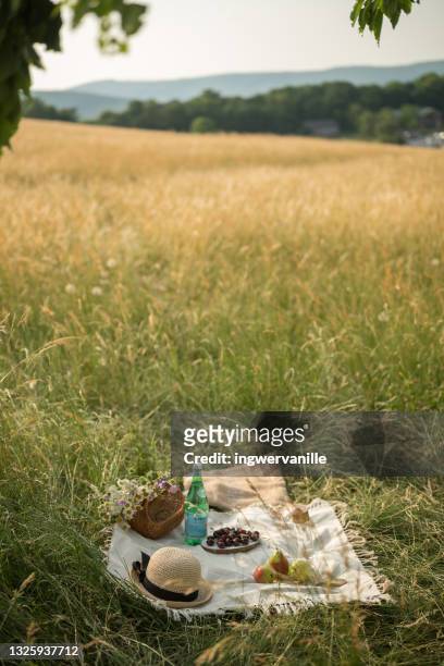 picnic scene in the nature with blanket and cherries - rural scene photos et images de collection