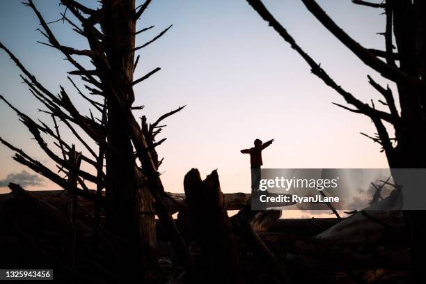 silueta del niño en el océano pacífico - rialto beach fotografías e imágenes de stock