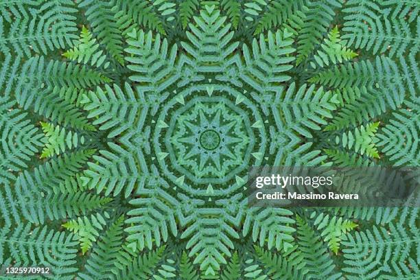 green ferns pattern - kaleidoscope stock-fotos und bilder