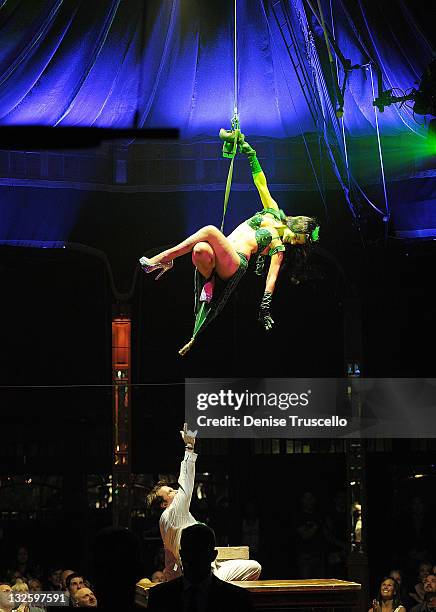 Absinthe Angel Absinthe The Fantastical Blend Of Carnival And Spectacle Featuring ...