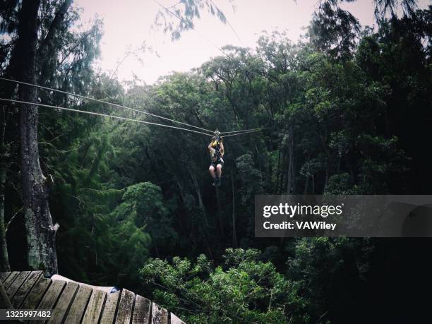 la familia disfrutando de la emoción de una tirolesa en hawái durante el covid - canopy fotografías e imágenes de stock