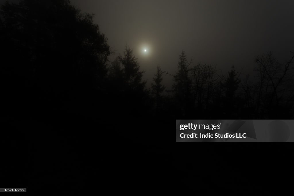 Sun seen through silhouetted dark clouds just above the tree line