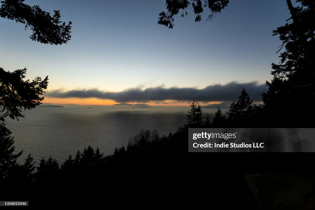 Dramatic Sunset with Misty Clouds and Silhouetted Trees in the Foreground