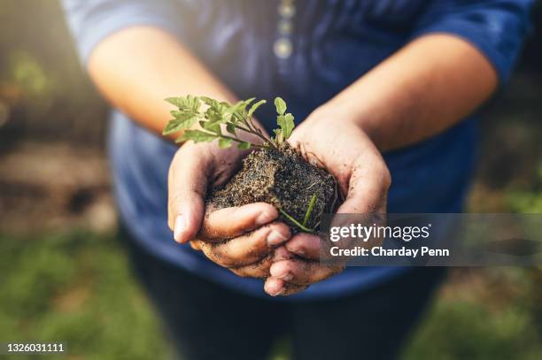 5,613 Home Composting Stock Photos, High-Res Pictures, and Images ...